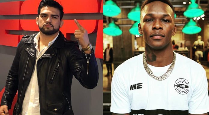 UFC 235 Gastelum vs Adesanya