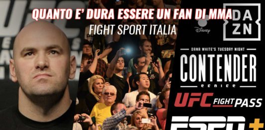 MMA Fans - La dura vita nel 2020