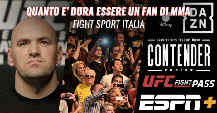 MMA Fans - La dura vita nel 2020