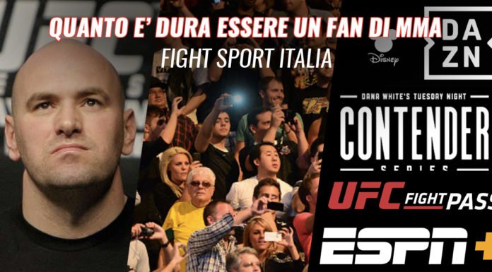 MMA Fans - La dura vita nel 2020