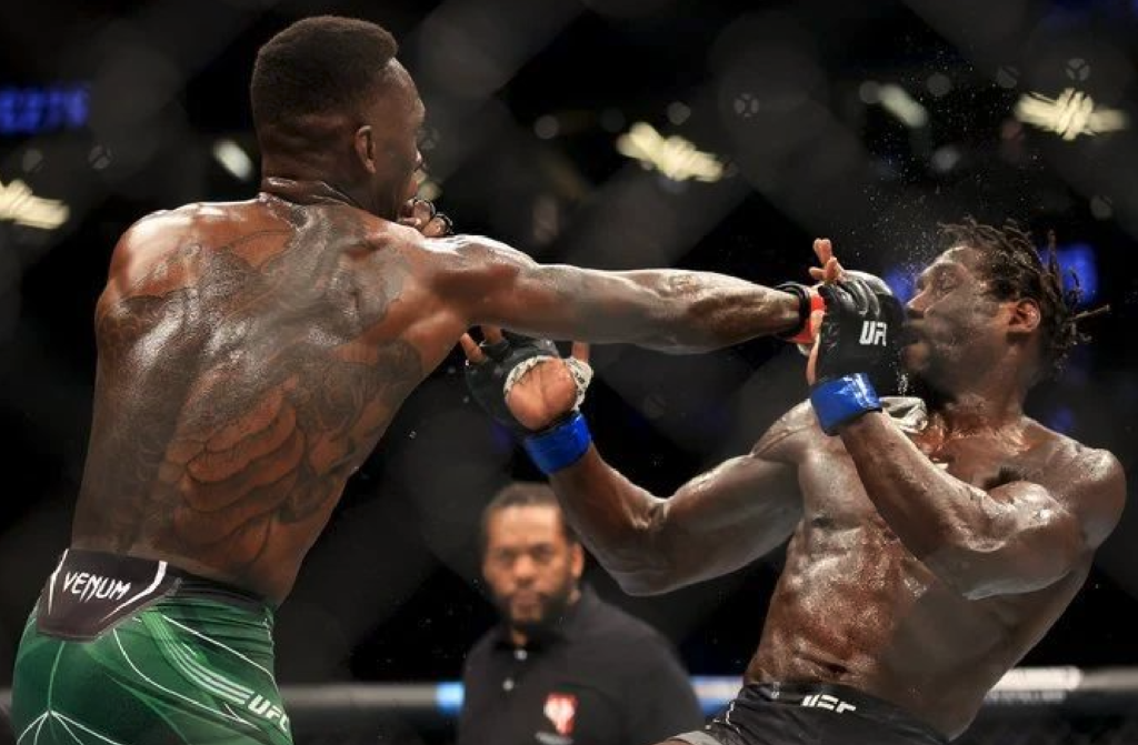 Adesanya Cannonier UFC 276