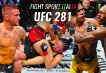 UFC 281