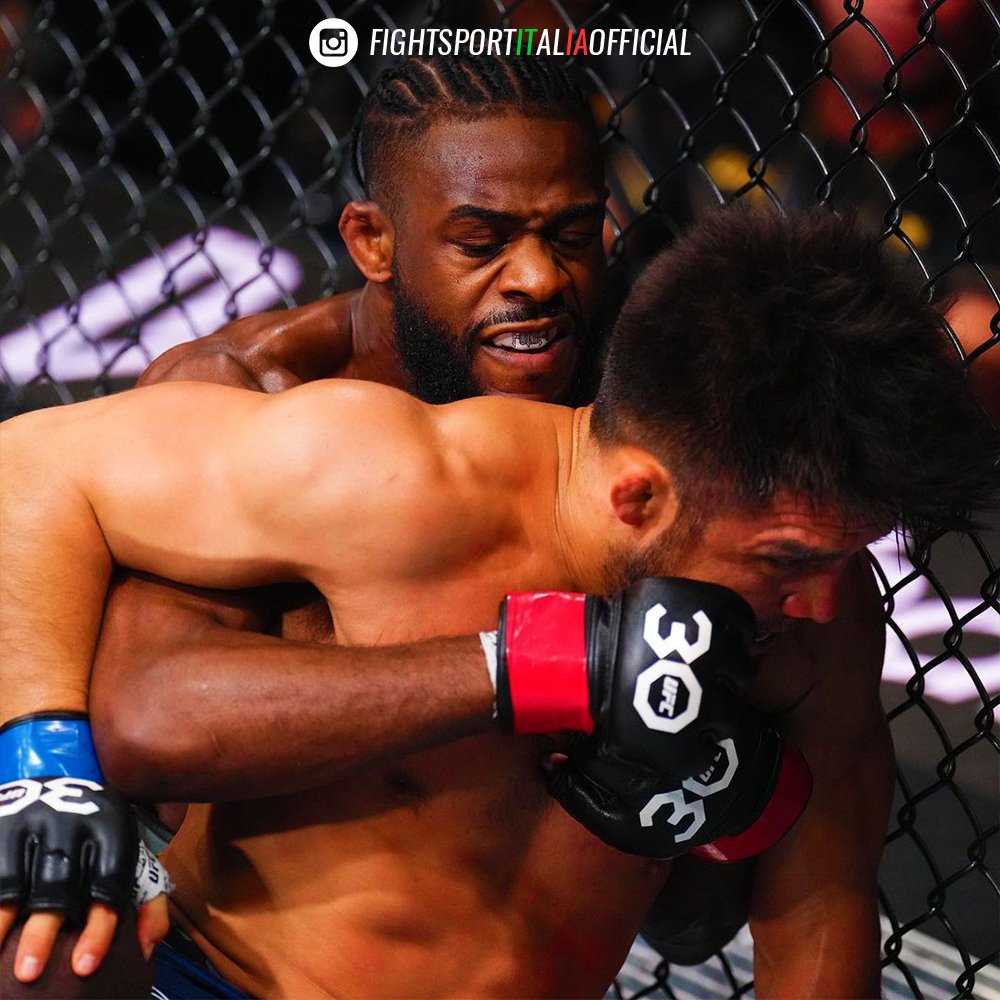 Aljamain Sterling UFC 288